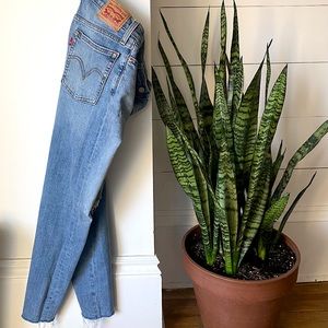 Levi’s Skinny Wedgie